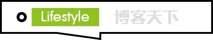 各种各样的熊孩子游戏,魔性熊孩子游戏