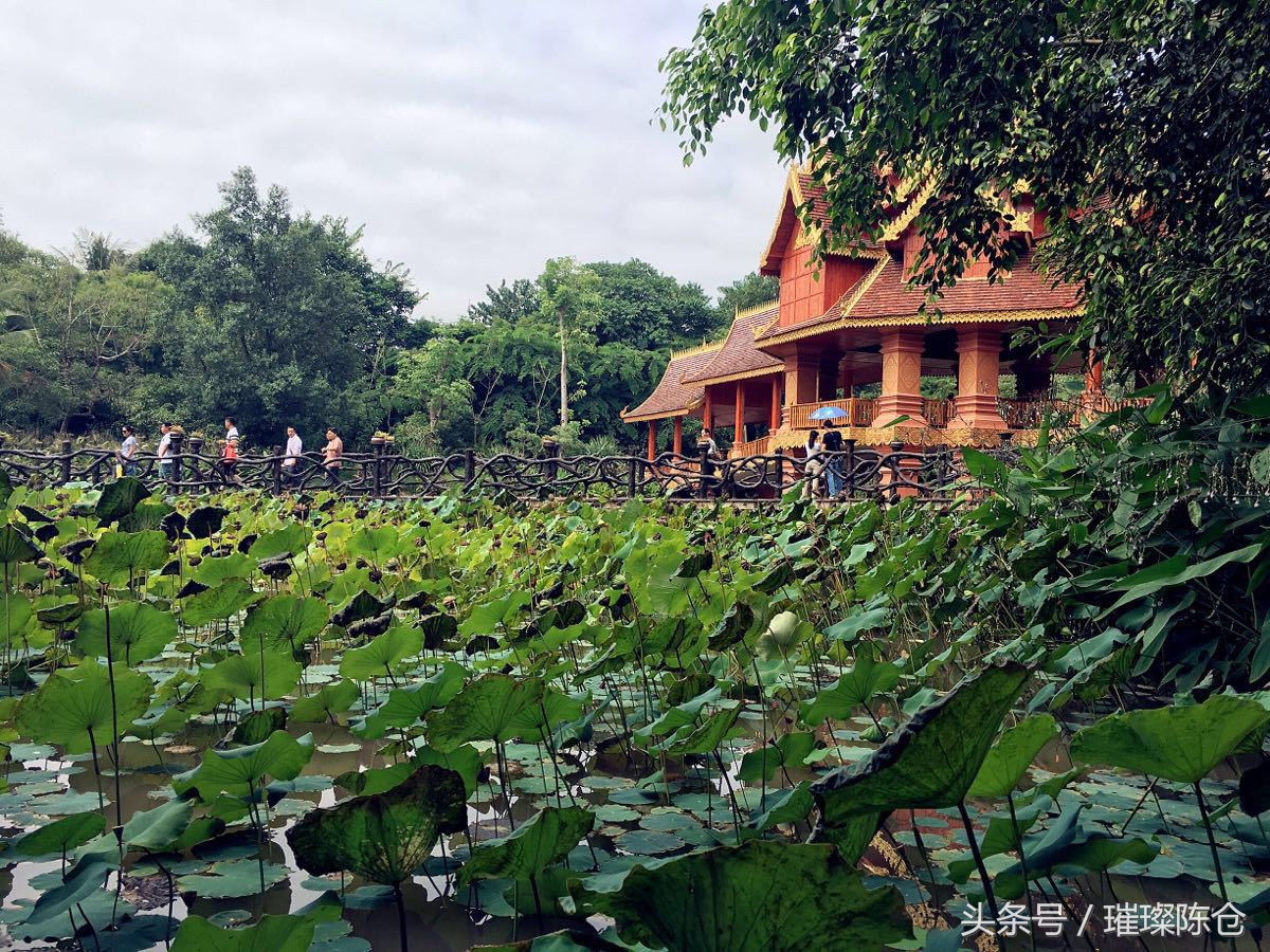 西双版纳曼听公园傣王花园,西双版纳的傣族园和曼听公园