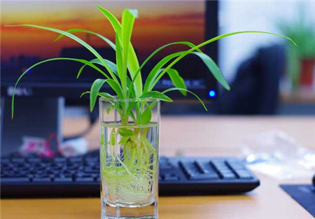 姘村煿鍗峰彾鍚婂叞,閲戦奔鍚婂叞姘村煿