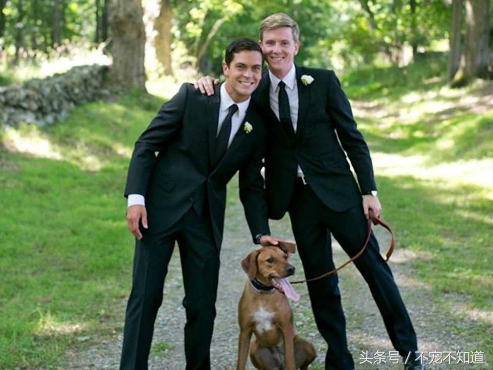 狗狗生理常识大全,狗狗生理常识