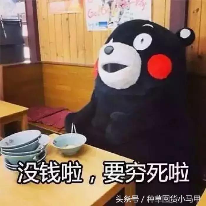 kiko倒闭了吗,kiko破产事件