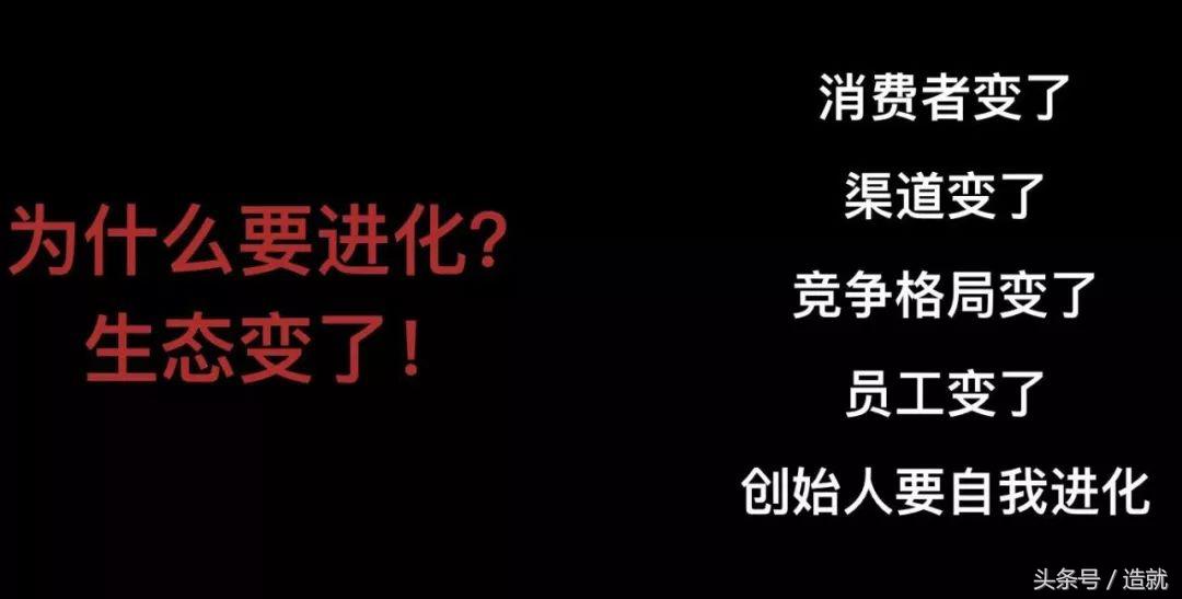 徐新谈刘强东有杀手的直觉,今日资本创始人徐新