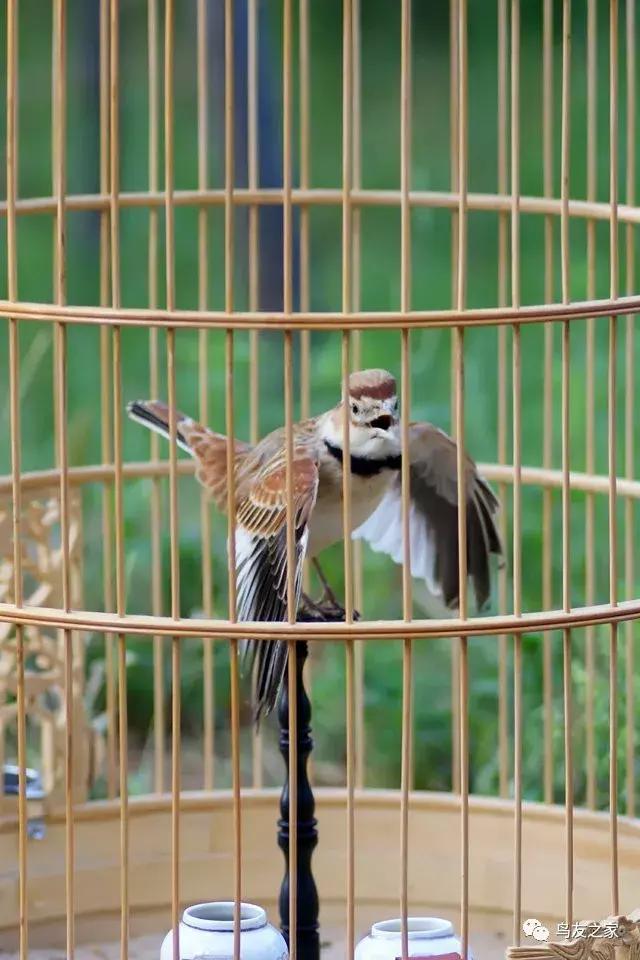 爆文小说原版,爆文原文