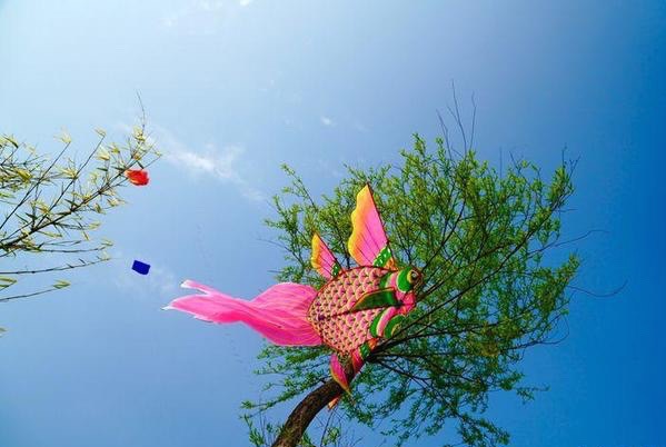 温州三八节免费景点,三八节好玩的地方温州