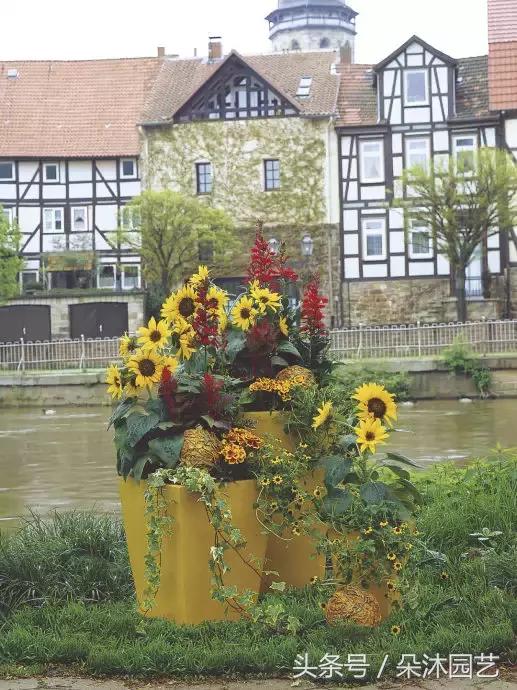 园艺插花容器,容器家庭园艺