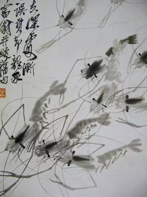 齐白石画虾的6只虾,画虾齐白石虾的画法步骤