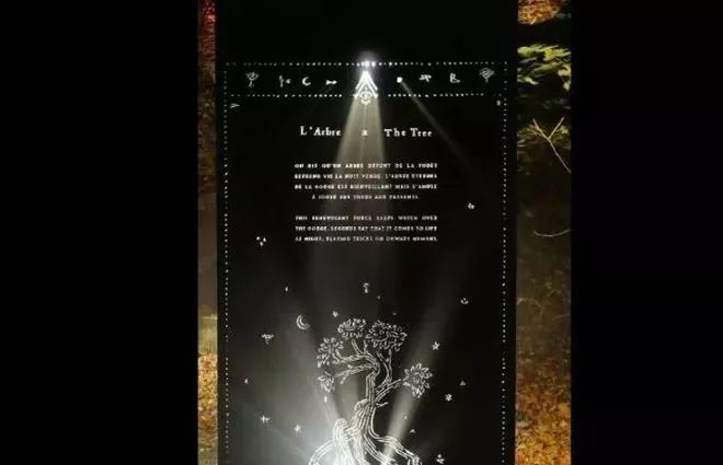 加拿大奇幻森林,加拿大魔法森林风景