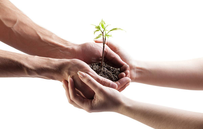 什么是人工授精？做人工授精要注意些什么？