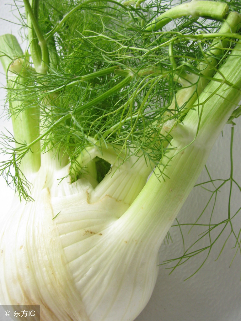 卤肉香辛料之小茴香,香辛料小茴香