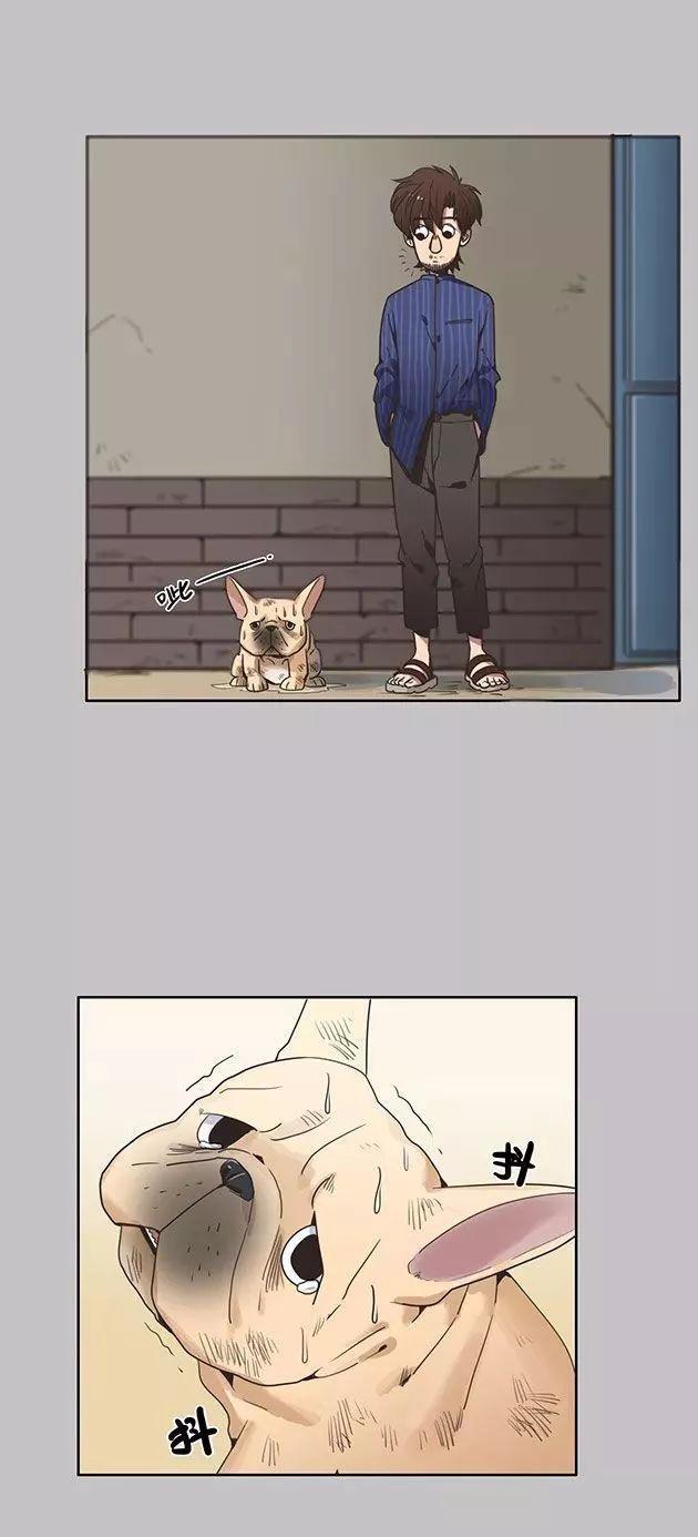 巴哥犬铲屎官漫画,铲屎官的搞笑漫画