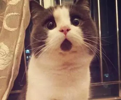 《酱爆楼市》精彩看点——安装监控用来对付“高空抛物”？这波操作666！