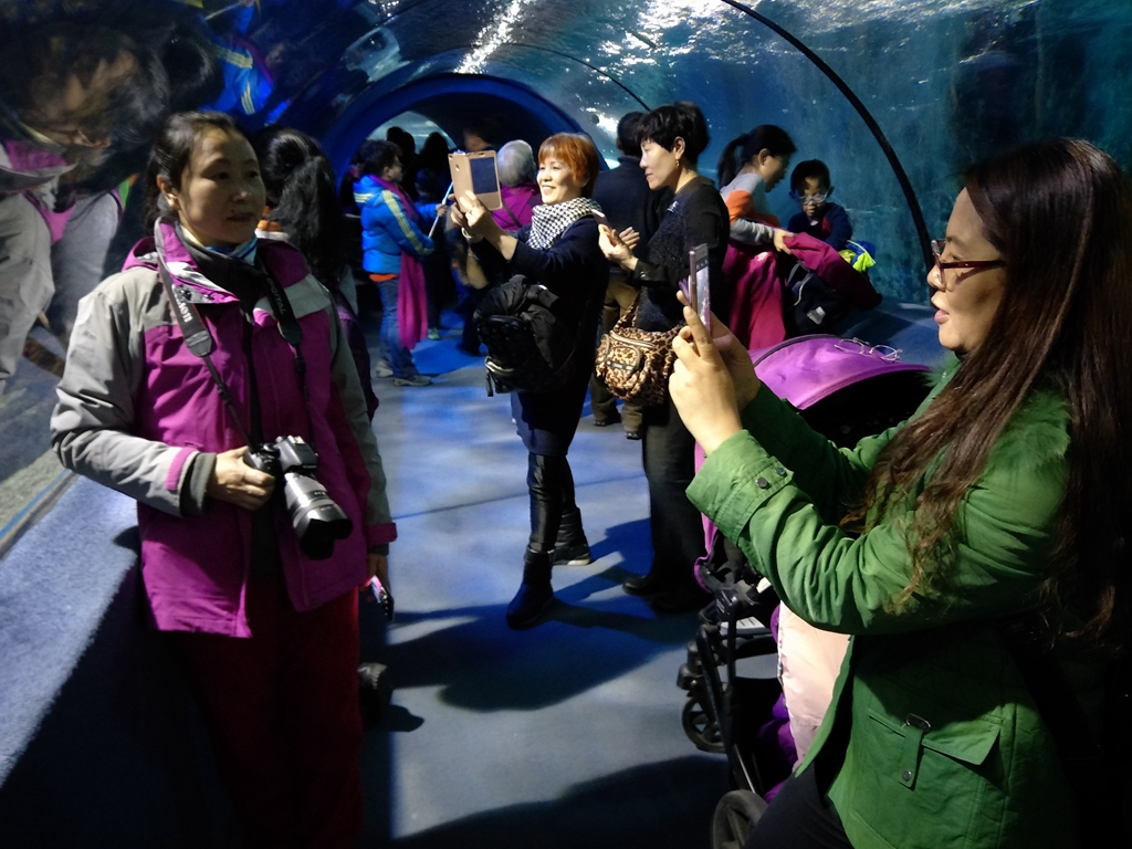 北京南到太平洋海底世界,走进太平洋海底世界视频