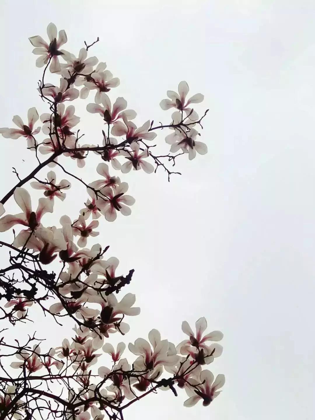 手机拍出的大片摄影作品,手机人像摄影作品欣赏大全集