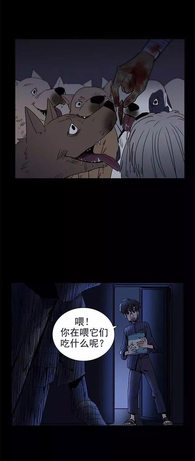 猫和铲屎官的日常生活漫画,铲屎官的搞笑漫画