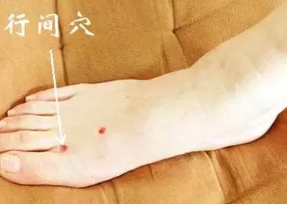 肝火旺喝什么茶养肝护肝,养肝护肝去肝火喝什么茶最好