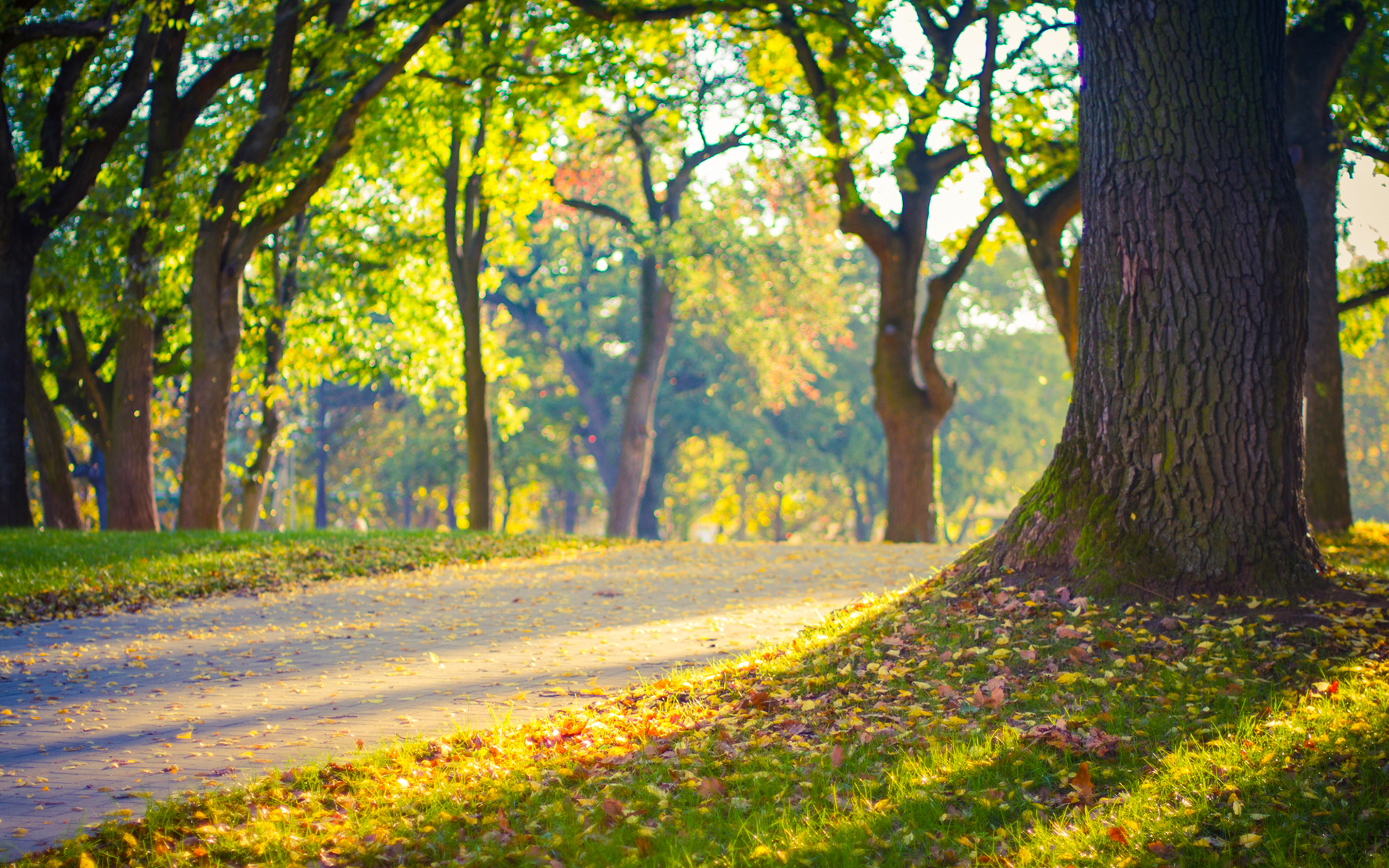 彼此都有家庭却还放不下前任,彼此都有家庭却相爱