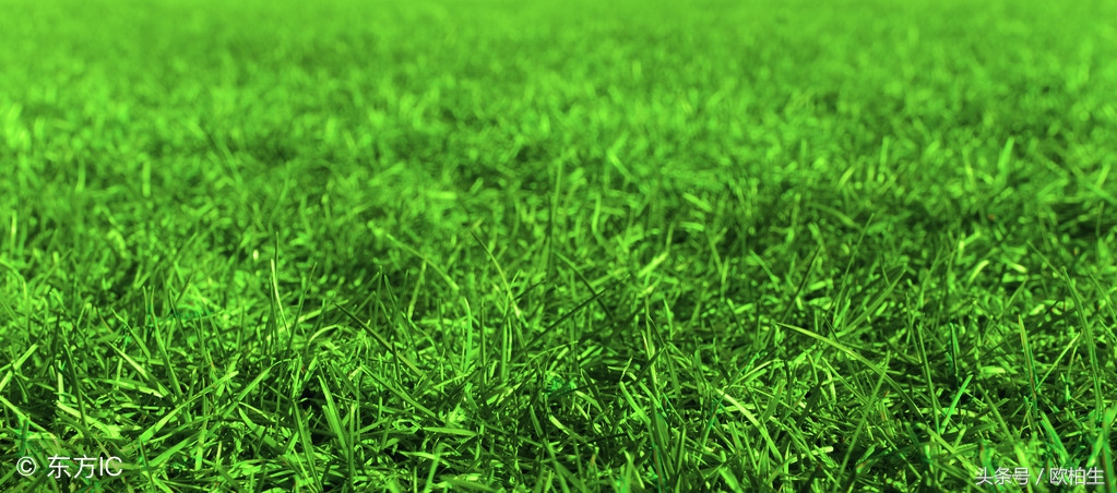 sc5b型紫外线光疗仪怎么样,紫外线光疗仪和308激光哪个好