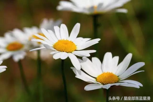 星爱女人|节日如何呵护自己？来场女神的内衣与香氛之约
