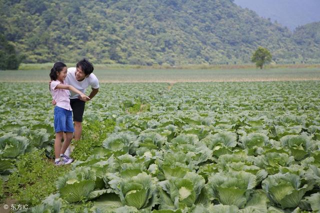 天津家庭农场申请条件和注册流程,安徽省申请家庭农场注册条件