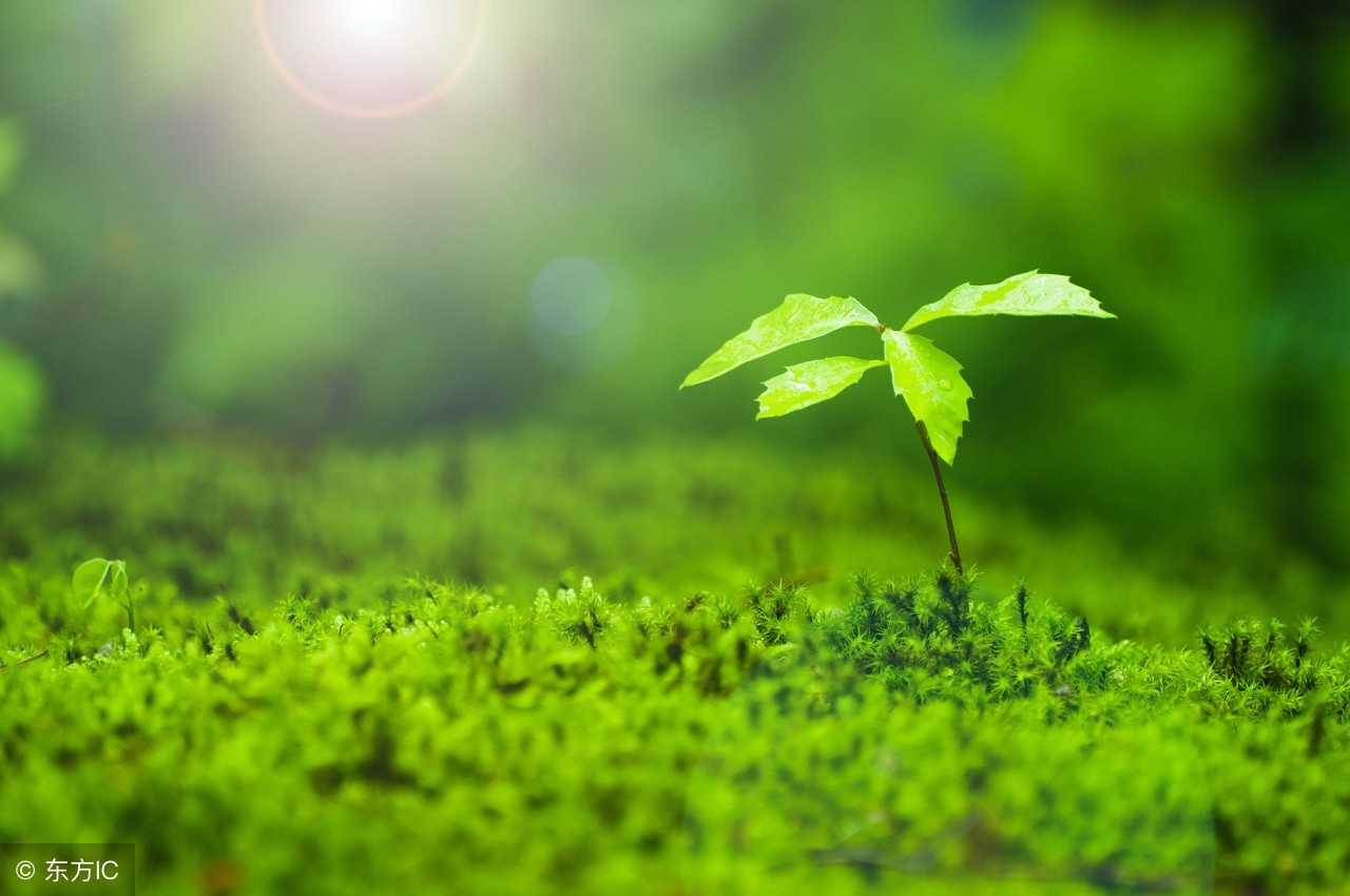 英语中年月日表达先后顺序,英语中年月日的顺序表达