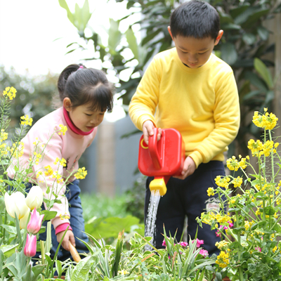 植树节主题升旗仪式活动方案,企业植树节活动创意活动方案