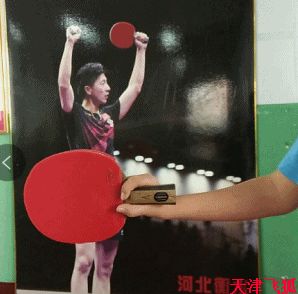 乒乓球系统训练计划明细表,乒乓球基础教练教学书籍