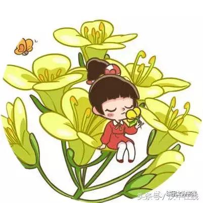 万物复苏春暖花开适合去玩的地方,花开的季节大家快来看风景