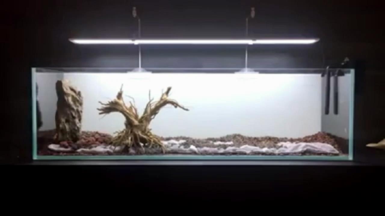 鱼缸微景观的方法和技巧,桌面鱼缸造景新手教程