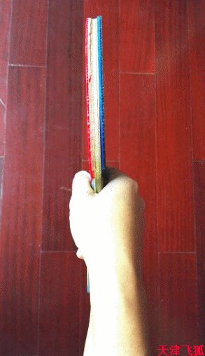 乒乓球系统训练计划明细表,乒乓球基础教练教学书籍