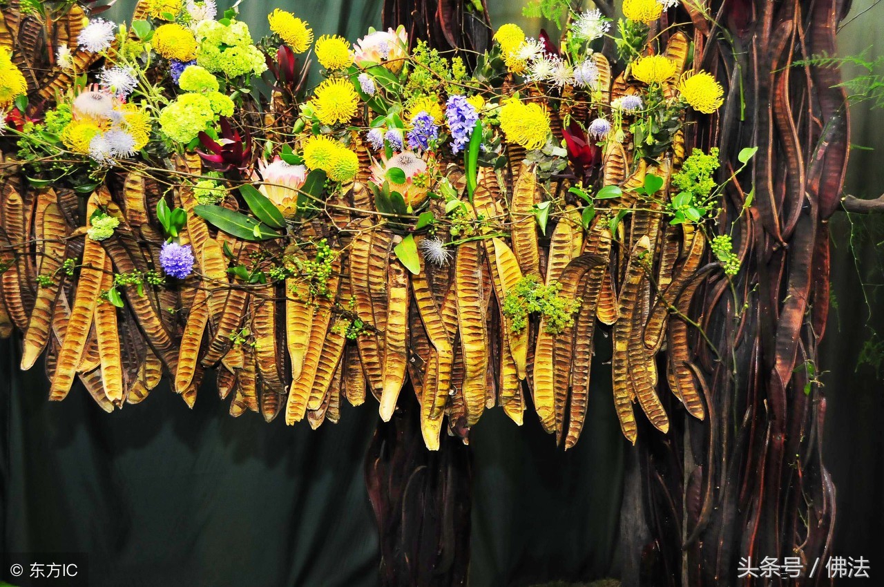 无神论的佛教是真的吗,佛教无神论什么意思