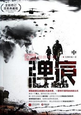 兵王小说主要写什么,兵王文小说推荐