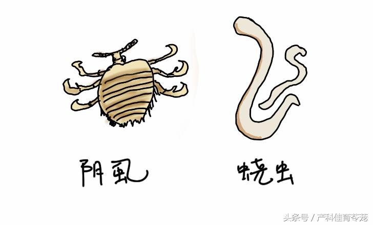 外阴瘙痒可以自愈吗,外阴瘙痒怎么治才会好啊