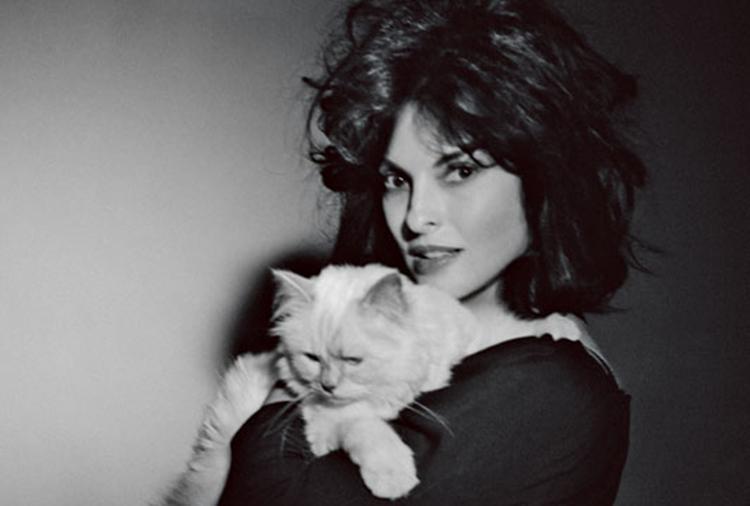 老佛爷家的猫视频,老佛爷养的猫