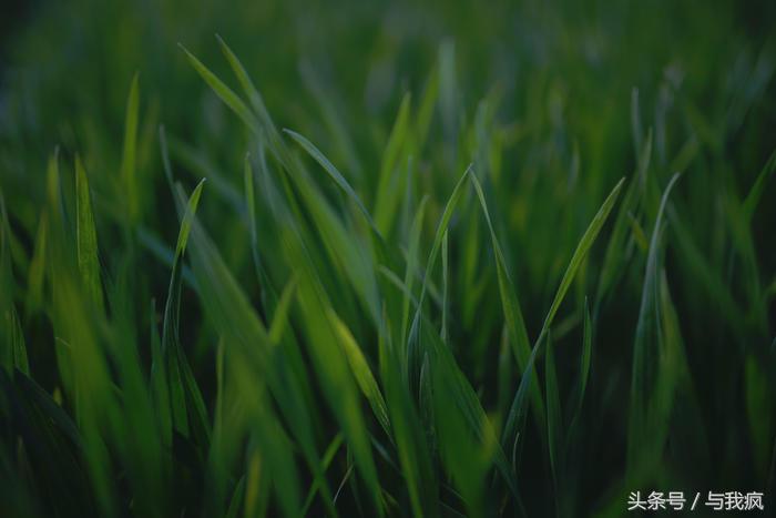 photoshop教程带资源,photoshop调用图层