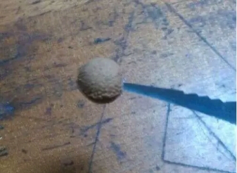 吃完樱桃剩下的籽能种吗怎么种,吃樱桃时不小心吃入樱桃核咋办