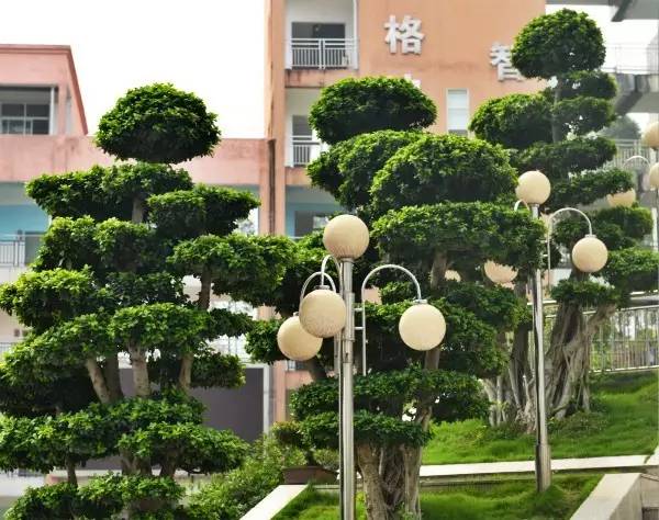 “少谈成绩多谈爱”,宜宾这所学校怎么啦?