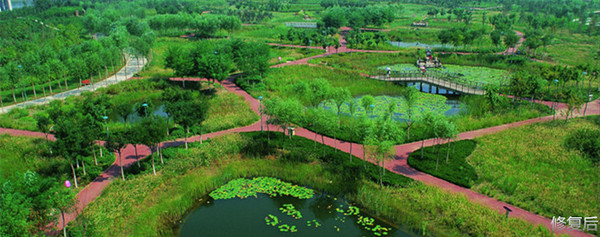 城市双修的缺点,什么是城市双修