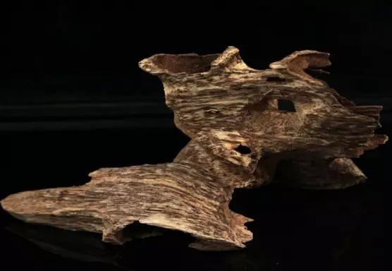 奇楠沉香鉴别真假只需3秒,收藏沉香视频完整版