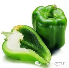 一农生态农庄“有机圆青椒”即将上架供应