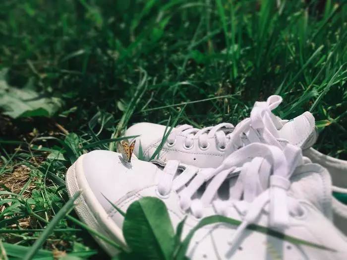 天天上脚“绿尾”的你，真的懂她吗？