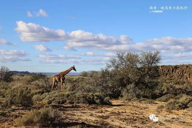 必看|台湾是中国的,多肉是世界的!