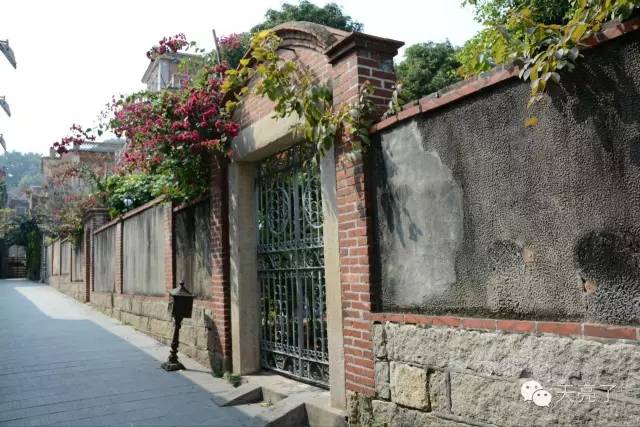 鼓浪屿一个魂牵梦绕的圣地,鼓浪屿一座充满故事的小岛