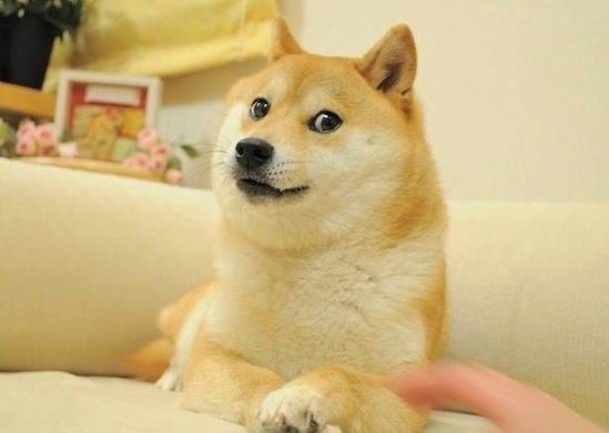 盘点520的奇葩表白,各科老师520表白方式