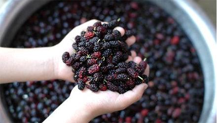 杭州一男子吃猪蹄休克,杭州男子吃海鲜拉肚子