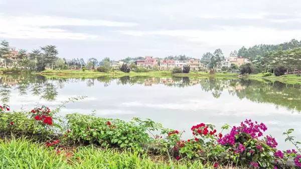 广州大热乡村旅游攻略,广州乡村游