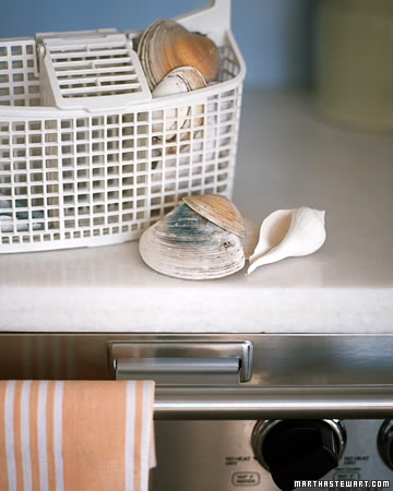 贝壳海洋工艺品摆件,贝壳工艺品叫什么