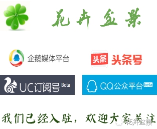 家里阳台养花怎么处理,夏季养花施肥有臭味怎样消除