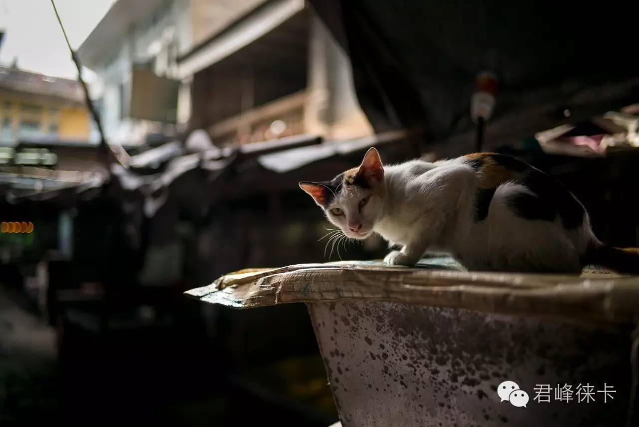 寰曞崱m501.4a,寰曞崱m502aa