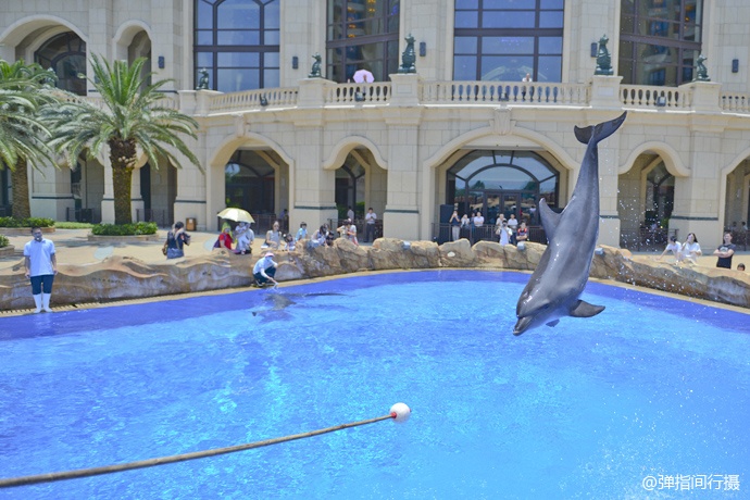 珠海长隆旅游攻略和住宿,珠海长隆周末有什么活动