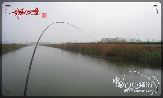 风雨无阻之我爱飞鱼去‘*欢寻**’！